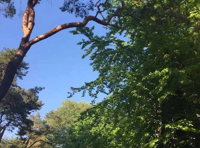 Apartamenty Miedzyzdroje Appartamento *